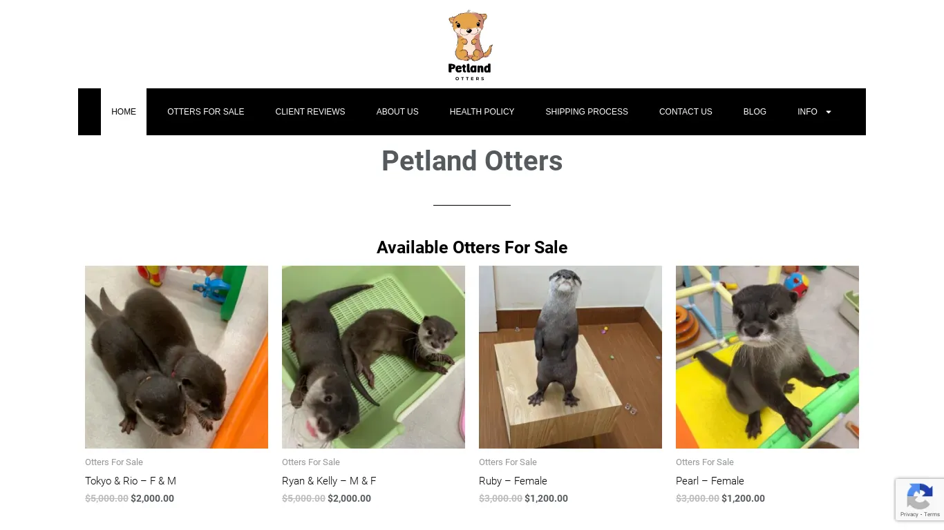 is petlandotters.com legit? screenshot