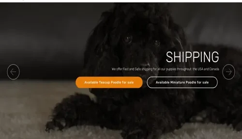 A screenshot of Genlanfamilystbernard.com