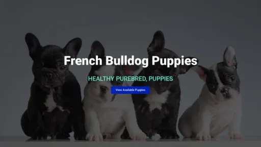 A screenshot of Petogethers.com