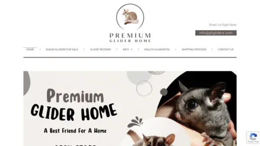 A screenshot of Phgliders.com