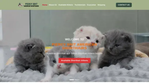 A screenshot of Piercybritamericanshorthairs.com