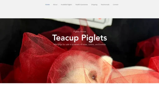 A screenshot of Pigletshome.com