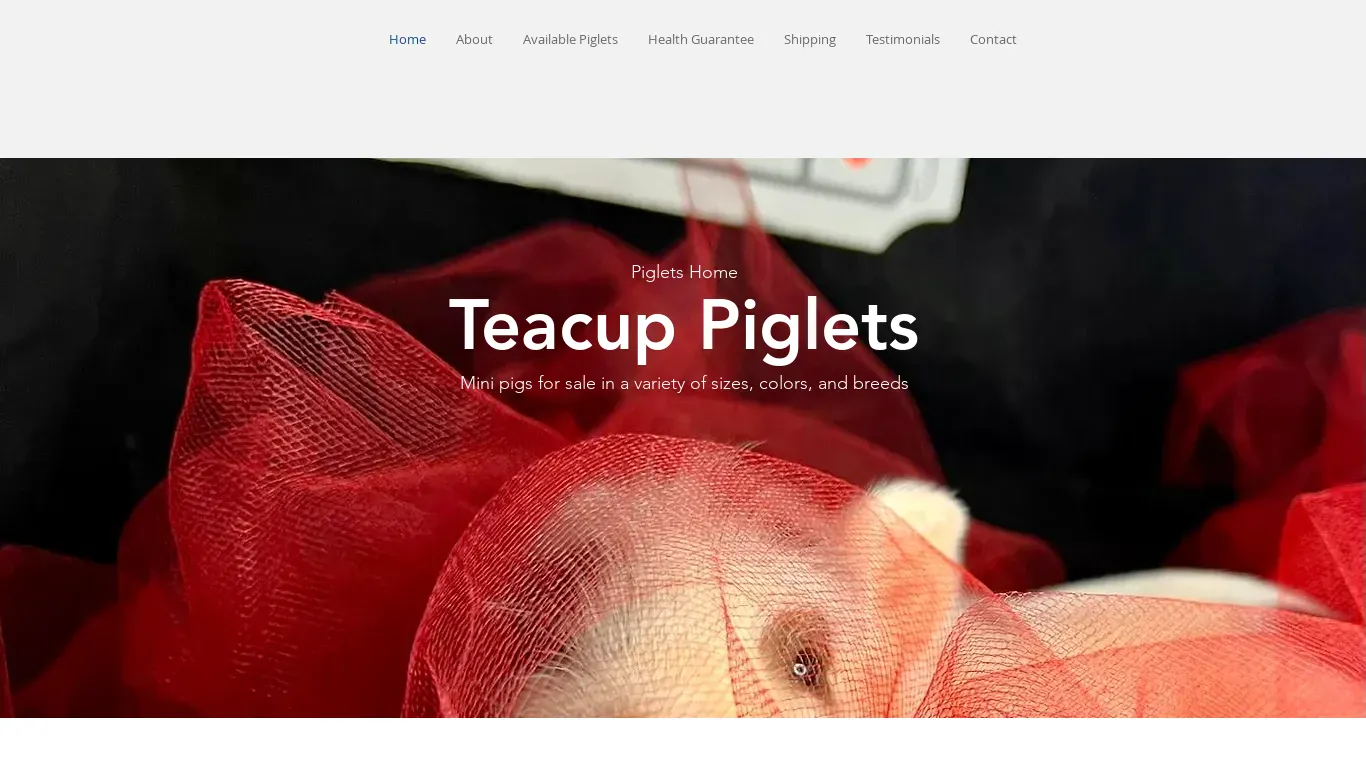 is pigletshome.com legit? screenshot