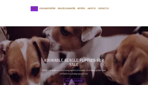 A screenshot of Genlanfamilystbernard.com