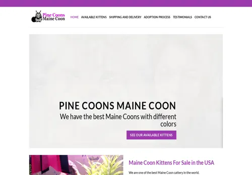is pinecoonsmainecoon.com legit? screenshot