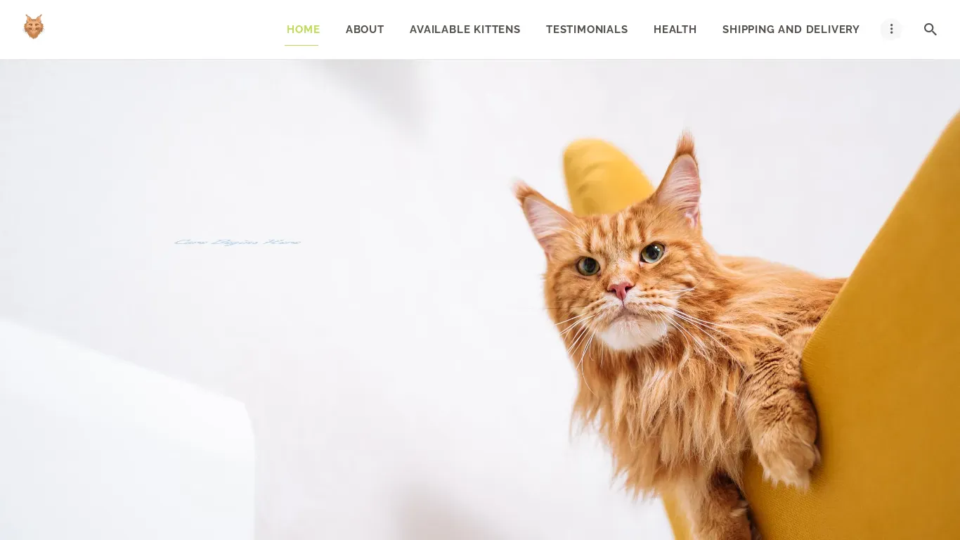 is Platinum Mainecoon House – Mainecoon Kittens for sale legit? screenshot