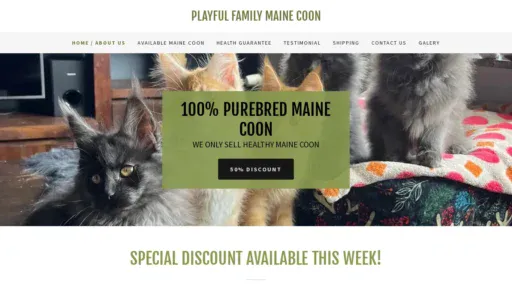 A screenshot of Playfulfamilycoon.com