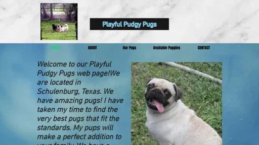 A screenshot of Playfulpuddgypugs.com