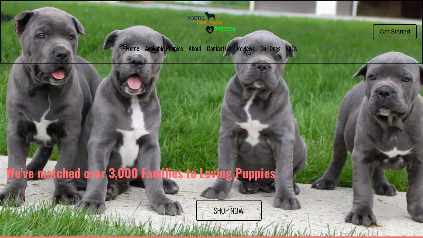 is poeticcanecorsobreeder.com legit? screenshot