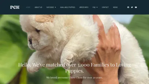 A screenshot of Poetichows.com