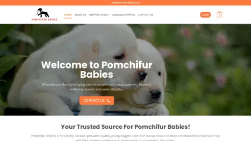 A screenshot of Pomchifurbabies.com
