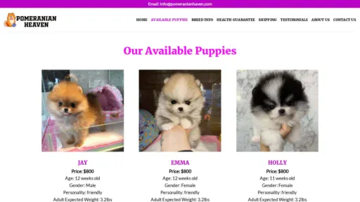 A screenshot of Pomeranianhaven.com