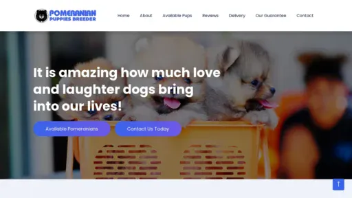 A screenshot of Pomeranianpuppiesbreeder.com