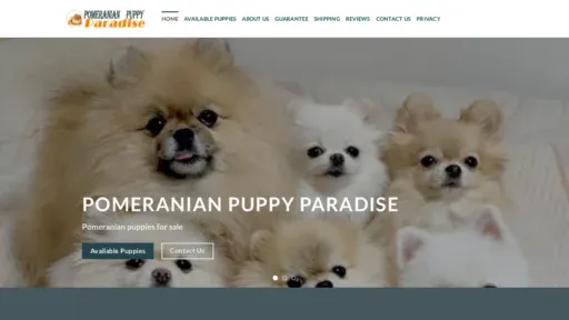 A screenshot of Pomeranianpuppyparadise.com