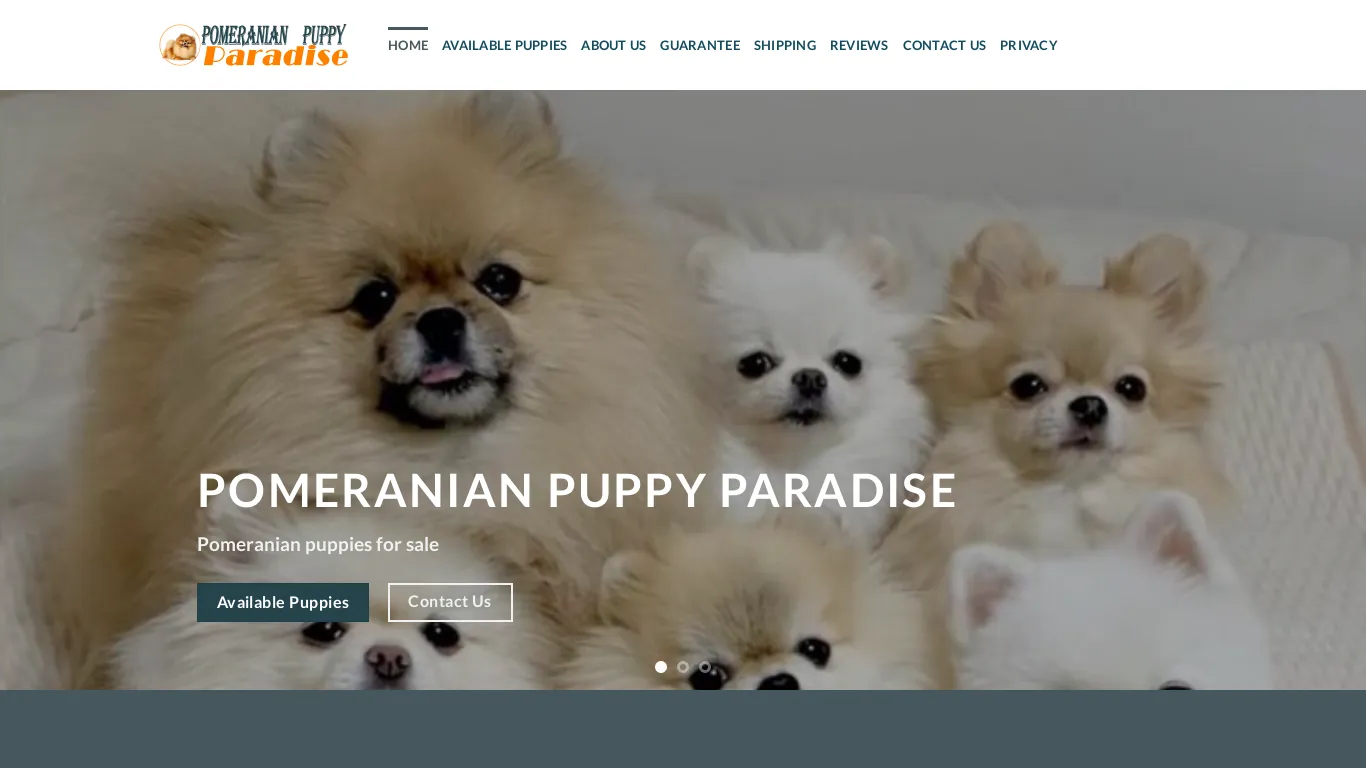 is pomeranianpuppyparadise.com legit? screenshot