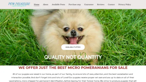 A screenshot of Pompleasures.com