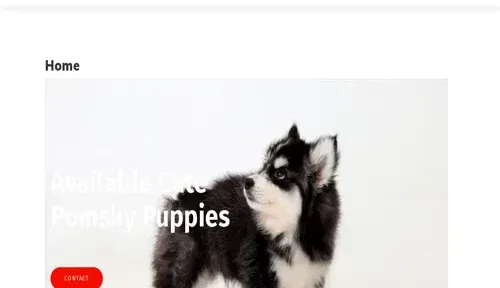 A screenshot of Genlanfamilystbernard.com