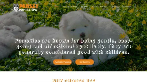 A screenshot of Pomskypuppiesspot.com