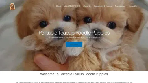A screenshot of Portableteacuppoodlepuppies.com