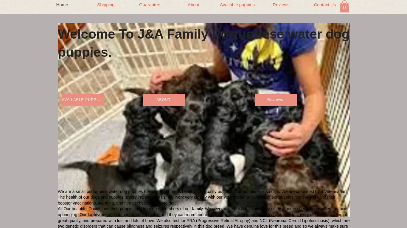 is Home | Portuguese Water Dog legit? screenshot