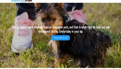 A screenshot of Genlanfamilystbernard.com