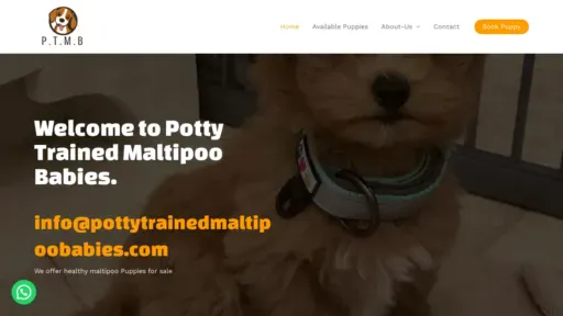 A screenshot of Pottytrainedmaltipoobabies.com