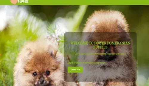 A screenshot of Genlanfamilystbernard.com