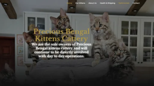 A screenshot of Preciousbegal.com