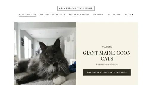 A screenshot of Preciouskittycooncats.com