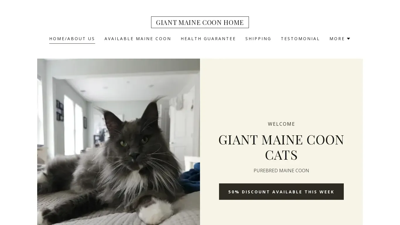is HOME/ABOUT US legit? screenshot