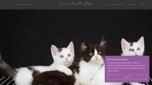 A screenshot of Preciousmunchkinkittens.com