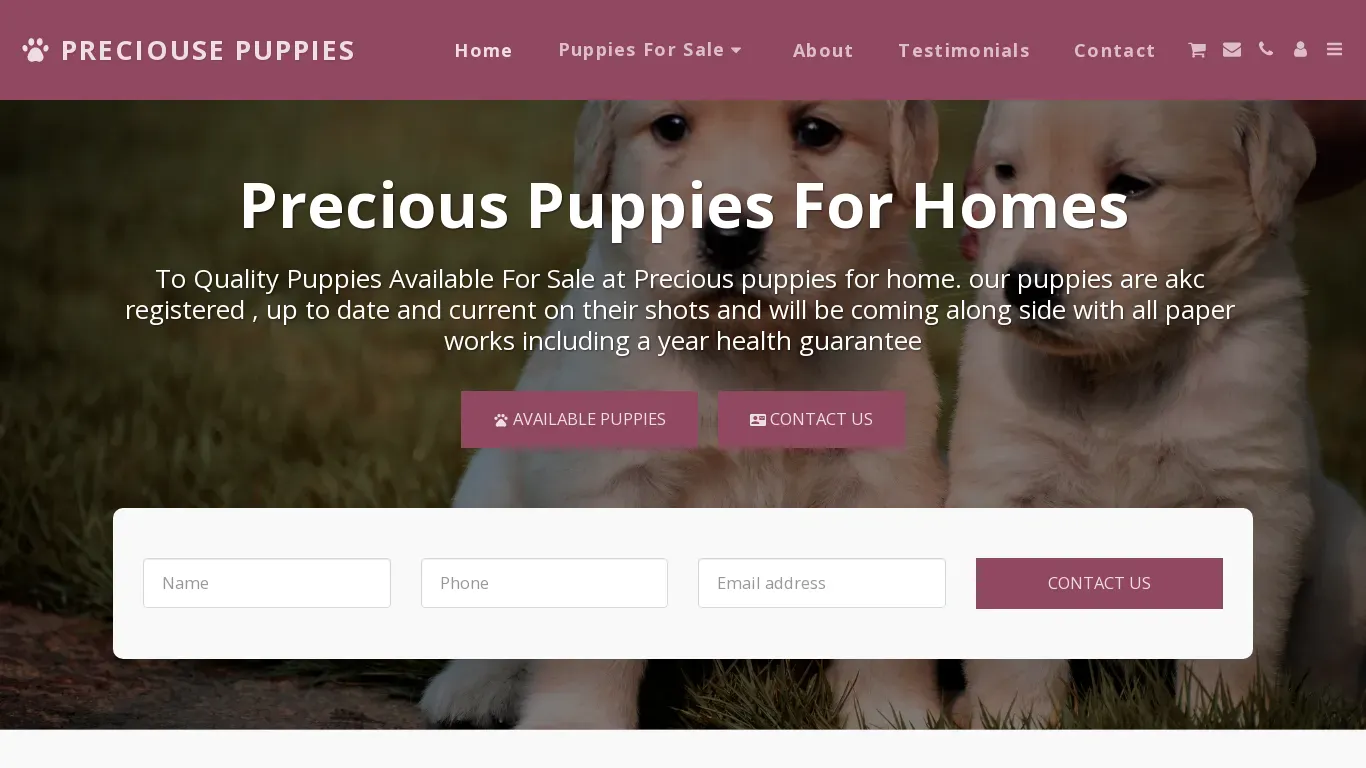 is preciouspuppiesforhomes.com legit? screenshot