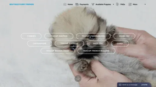 A screenshot of Premierfurryfriends.com