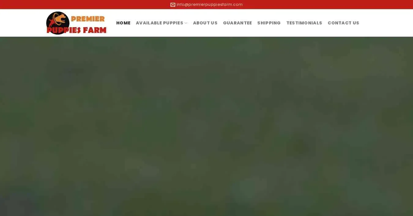 is premierpuppiesfarm.com legit? screenshot