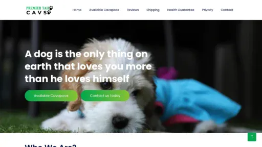 A screenshot of Premiertailcavs.com