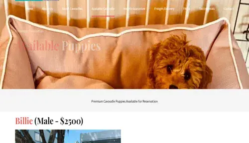 A screenshot of Genlanfamilystbernard.com