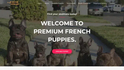 A screenshot of Premiumfrenchiepuppies.com