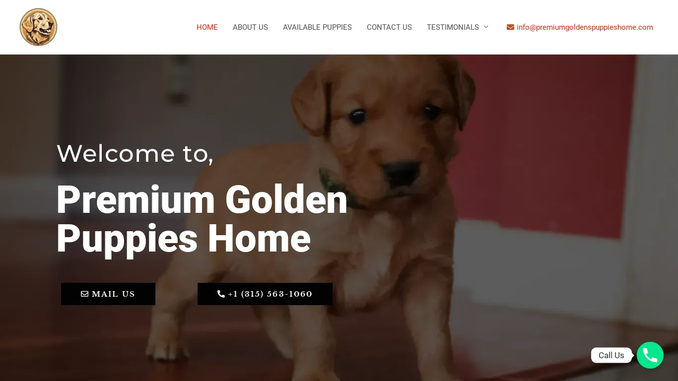 is Premium Golden Puppies Home – Golden Puppies Puppies For Sale legit? screenshot