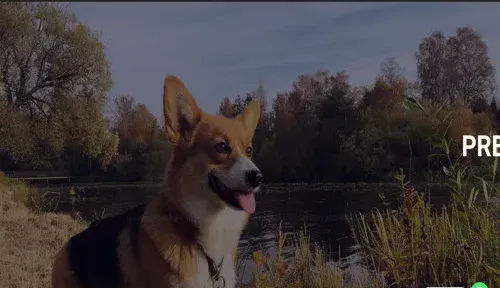 A screenshot of Genlanfamilystbernard.com