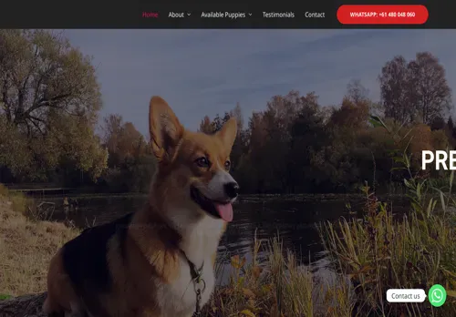 is premiumpembrokewelshcorgies.com legit? screenshot