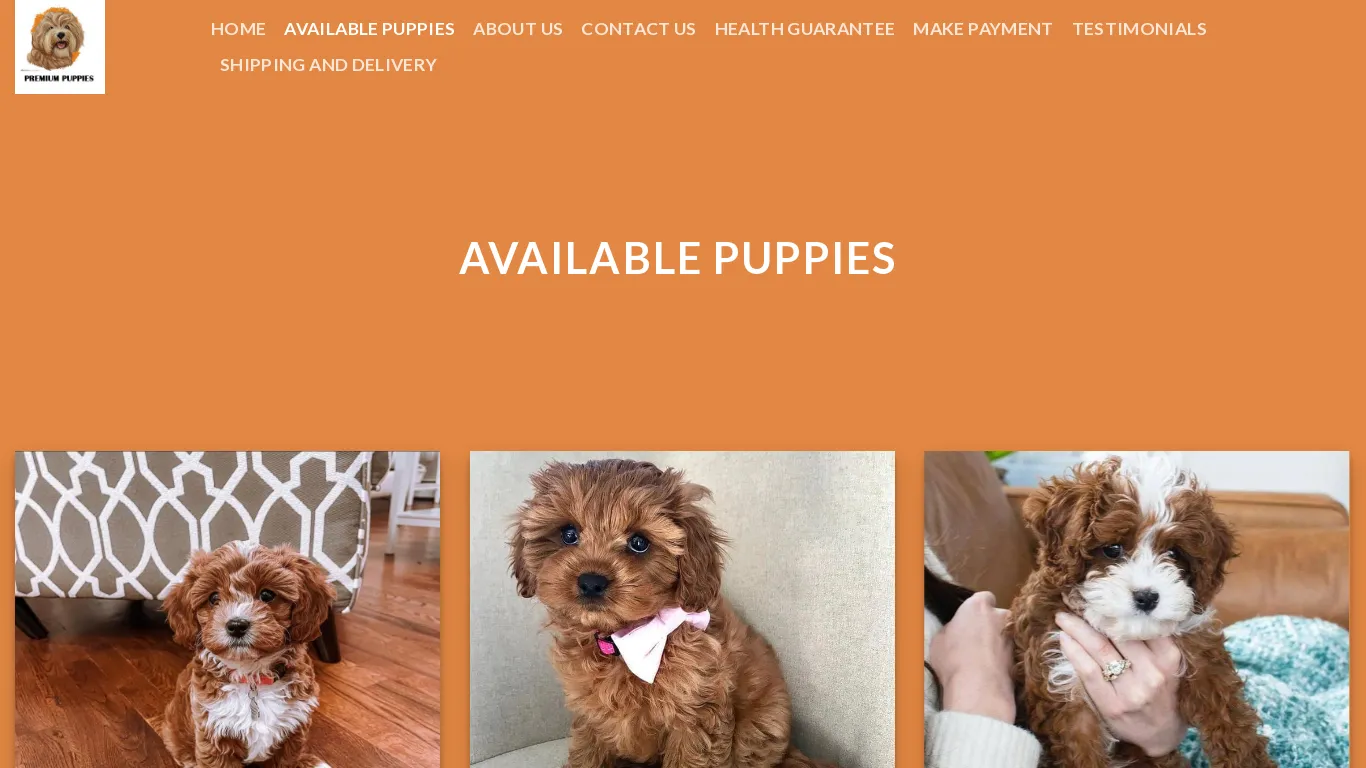 is premiumspuppies.com legit? screenshot