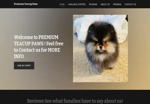 is premiumteacupaws.co.za legit? screenshot