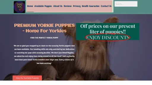 A screenshot of Premiumyorkiepuppies.com