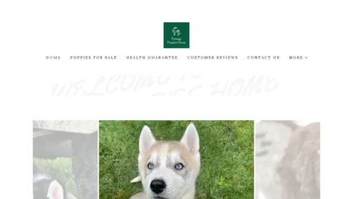 A screenshot of Prestigepuppieshome.co.za