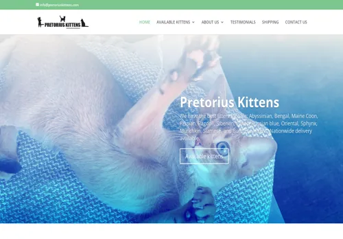is pretoriuskittens.com legit? screenshot
