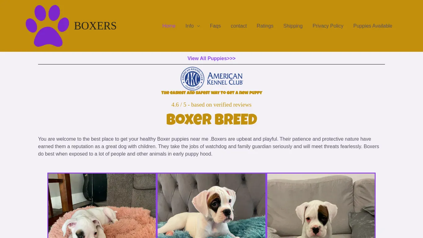 is prettyboxers.com legit? screenshot