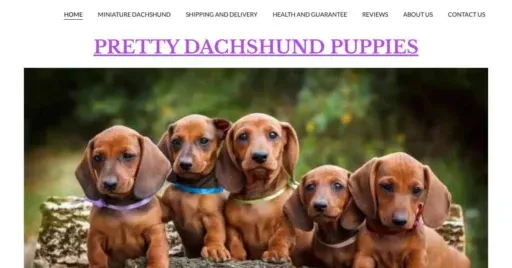 A screenshot of Genlanfamilystbernard.com