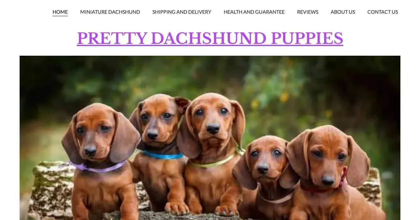 is prettydachshund.com legit? screenshot