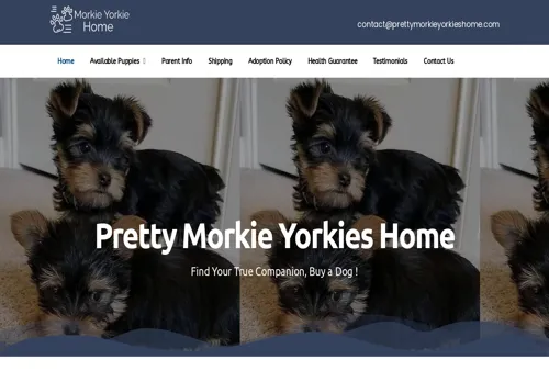 is prettymorkieyorkieshome.com legit? screenshot