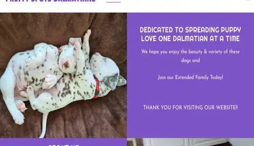 A screenshot of Genlanfamilystbernard.com